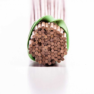 Walnut dowels diam. mm 4 2