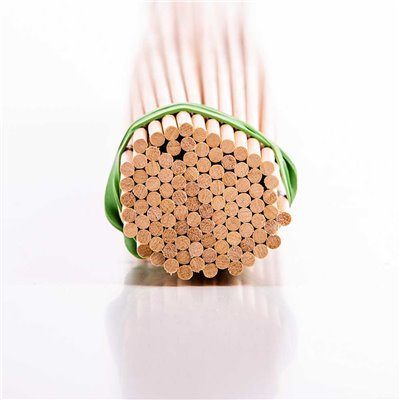 Clavijas Ramin diam. mm 6 2