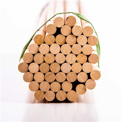 Clavijas Ramin diam. mm 12 2