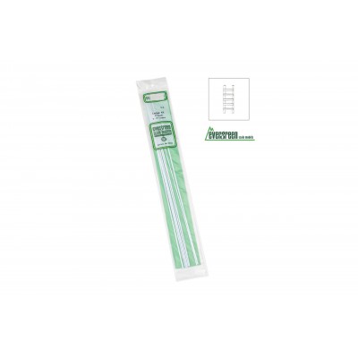 Evergreen   203 -  cm.61