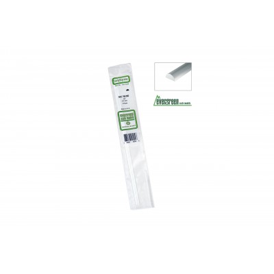 Evergreen   244 -  diam.mm.3,2