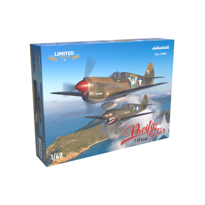 Pacific Star P-40E Warhawk...