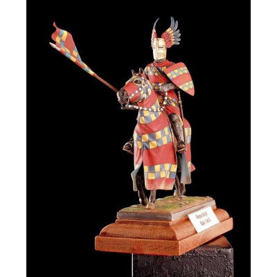 Cavaliere Medioevale...