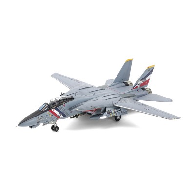 Grumman F-14D Tomcat 2