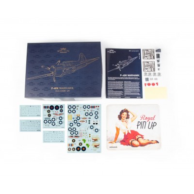 P-40K Warhawk Dual Combo 2