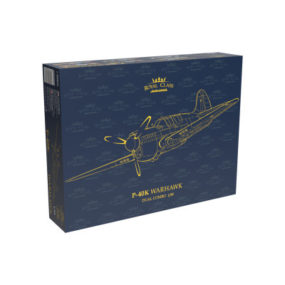 P-40K Warhawk Dual Combo